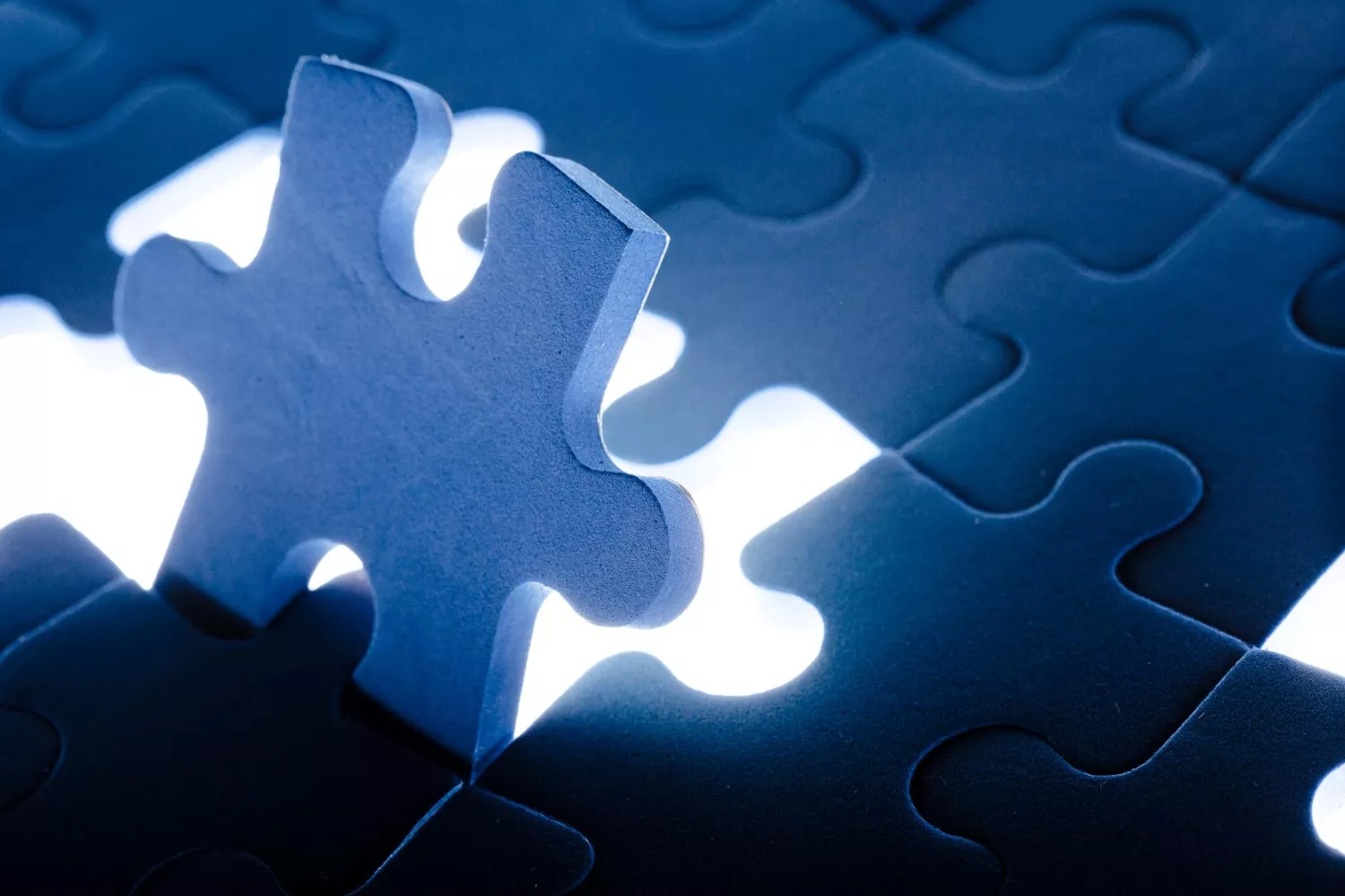 Puzzle that represents Integrated Corporate Management Service